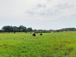 Cu Chi Boutique Farmstay